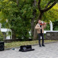 Уличный музыкант. :: Андрей Дурапов