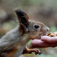 Да побольше... :: Александр Кондаков