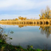 Ноябрь. :: Владимир 