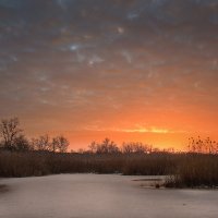 Заря. :: Александр 