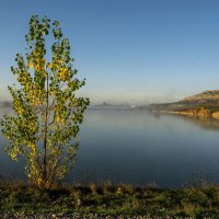 Пруд. :: Сергей Воротников