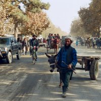 Центральная улица :: Сергей Золотавин