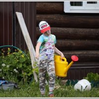 Растет помощник. :: Алексей Сопельняк Растет помощник. :: Алексей Сопельняк