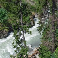 река Аманауз, поселок Домбай :: Максим 