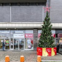 Пора готовиться к Новому году :: Валерий Иванович