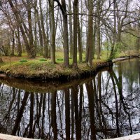 пруд,Санкт Петербург :: Laryan1 