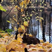 С добычей! :: Ольга 