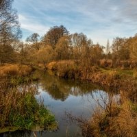 Осень не сдаётся 6 :: Андрей Дворников