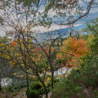 Из Никитского сада :: Варвара