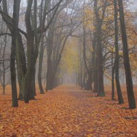 *** :: Сергей Григорьев