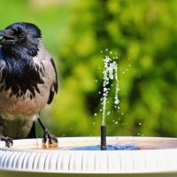 Имидж - ничто, жажда- всё. :: Marina Pavlova