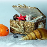 Натюрморт с ракушками. :: nadyasilyuk Вознюк Натюрморт с ракушками. :: nadyasilyuk Вознюк