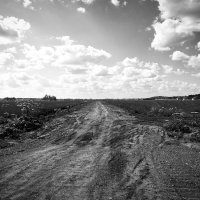 Фотография :: Денис Безногов Фотография :: Денис Безногов