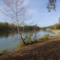 "Ноябрь уж на дворе..."... :: Галина 