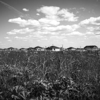 Фотография :: Денис Безногов