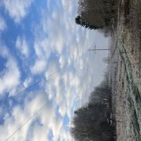 Предзимье :: Ольга Савельева 