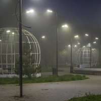 *** :: Игорь Протасов