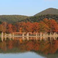 Кипарисовое озеро. :: Александр 