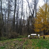 Осень... :: Игорь Шевердин