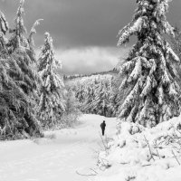 Прекрасная зима :: Jiří Valiska