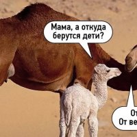 Маа-ма... :) :: Валерий Кокорев