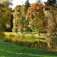 наша осень :: ИННА ПОРОХОВА