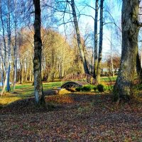 Осенний деревенский пейзаж (репортаж из поездок по области). :: Милешкин Владимир Алексеевич 