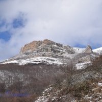 Природа Крыма :: Amazing Cosmea