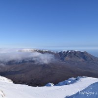 Природа Крыма :: Amazing Cosmea
