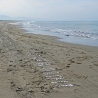 песчанные пляжи Сахалина :: ИРЭН@ .