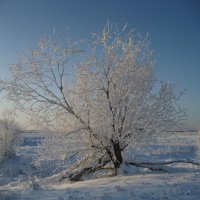 Красивый день :: Anna Ivanova