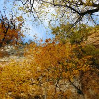 осень :: Юрий Словецкий