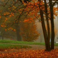 Утро ноября :: Юрий. Шмаков Утро ноября :: Юрий. Шмаков