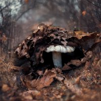 А мне и здесь хорошо :: Александр Кордюков А мне и здесь хорошо :: Александр Кордюков