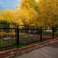 Осенние деревья в городе :: Александр Синдерёв Осенние деревья в городе :: Александр Синдерёв