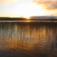 Озеро и солнышко. :: Галина Полина