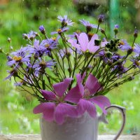 Натюрморт. :: жанна нечаева Натюрморт. :: жанна нечаева