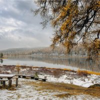 Хмурый осенний день :: Алексей Мезенцев