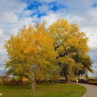 В ростовском экопарке Первая миля :: Нина Бутко В ростовском экопарке Первая миля :: Нина Бутко