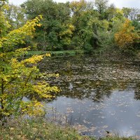 Осень :: Александр