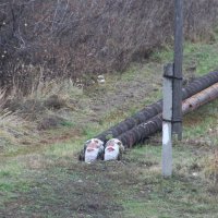 Два старика..) :: Елена Минина