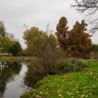 *** :: Николай Гирш