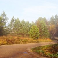 Дорожка в туман :: Андрей Снегерёв