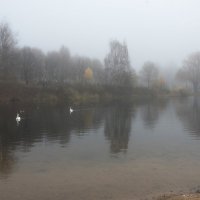 Туман. :: Владимир Безбородов