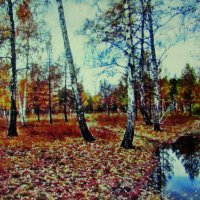 Осенний лес :: Людмила Смородинская