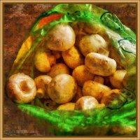 Грибы :: Анатолий Чикчирный