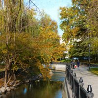 Осень  золотая :: Валентин Семчишин