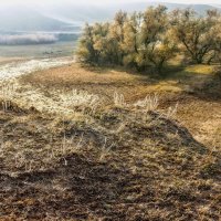 Утро в ноябре, и руки зябнут... :: LudMila 