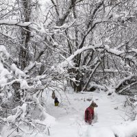 Зимние прогулки :: Anna Ivanova Зимние прогулки :: Anna Ivanova