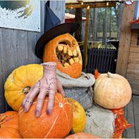 1 ноября. На косе после праздника. :: Валерия Комова